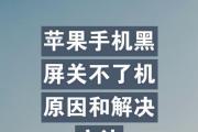 苹果手机黑屏怎么办？解决方法一网打尽（黑屏但有声音的苹果手机急救指南）