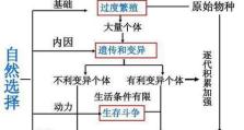 人类繁殖之奥秘（探究人类繁衍与生殖的关键因素）