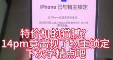 苹果绕过ID锁激活最新方法揭秘（如何突破苹果ID锁，实现设备激活的新途径）