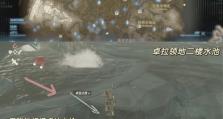 《塞尔达》中最稀有的装备（探索神秘大陆的珍稀宝物，开启传奇之旅）