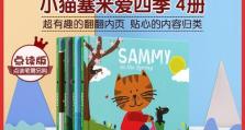 以爱四季移动硬盘