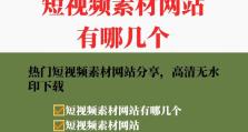 视频格式的多样性与应用（探索视频格式的种类与特点，解析其在不同领域的应用及影响）