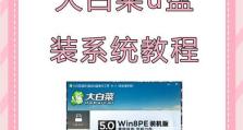 使用戴尔U盘安装系统的详细教程（戴尔U盘安装系统教程及注意事项）
