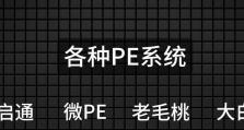 忘记开机密码？使用U盘PE清除开机密码教程（轻松解决忘记开机密码的烦恼，教你使用U盘PE清除密码）