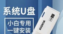 W10U盘PE系统教程（掌握W10U盘PE系统的安装与使用方法，轻松解决计算机故障）