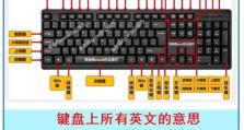 Excel常用技巧大全（从零基础到熟练应用，让你成为Excel高手的关键技巧）