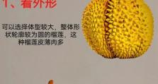 如何选择榴莲？（以电脑为工具的榴莲选购技巧）