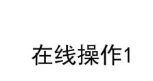 解决电脑开机密码错误的问题（忘记或输错开机密码怎么办？）
