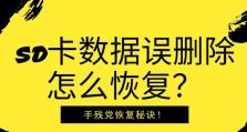 SD卡分区恢复指南（快速恢复分区后的SD卡数据丢失问题）